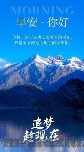 大象传媒视频域名停靠-探索大象传媒视频域名的停靠现象，网络文化的交汇与影响
