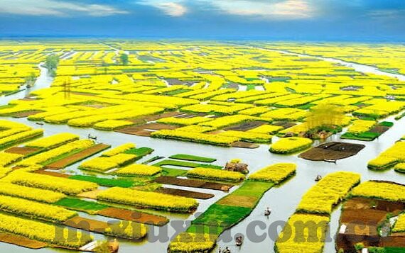国精产品一区二区三区-探索国精产品一区二区三区的多元化与价值