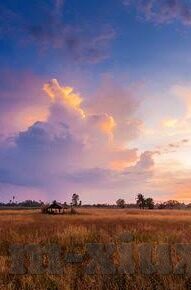 伦理小说阅读-伦理小说阅读，一场心灵的深度对话
