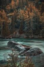 麻豆md传媒郭童童-麻豆MD传媒新星郭童童的非凡旅程