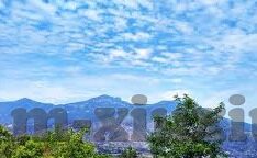 糖心app图片-糖心APP图片，现代社交的视觉语言与审美思考