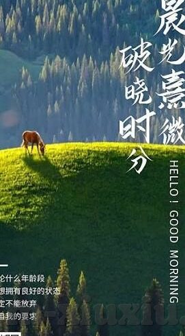 糖心vlog免费在线入口-探索糖心Vlog免费观看的便捷新途径